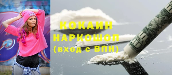 прущие грибы Балахна