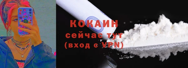 прущие грибы Балахна