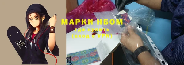 прущие грибы Балахна