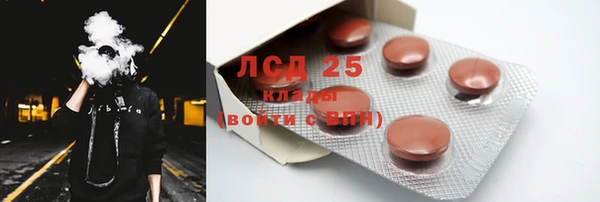 прущие грибы Балахна