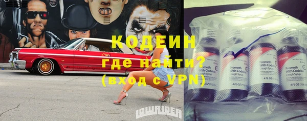 прущие грибы Балахна