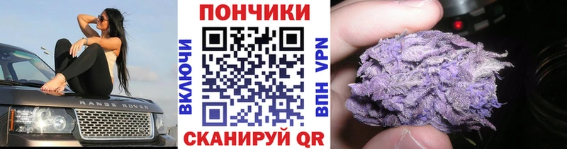 Конопля семена  Чекалин 